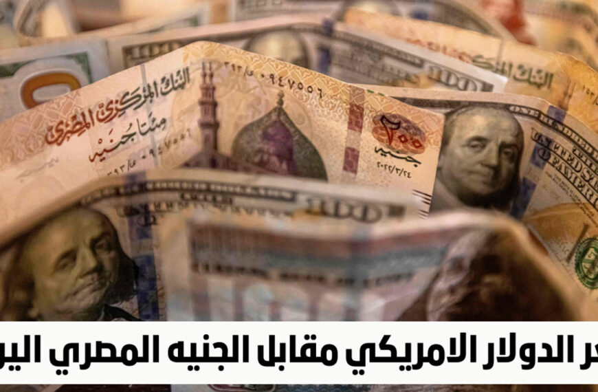 سعر الدولار مقابل الجنيه المصري اليوم