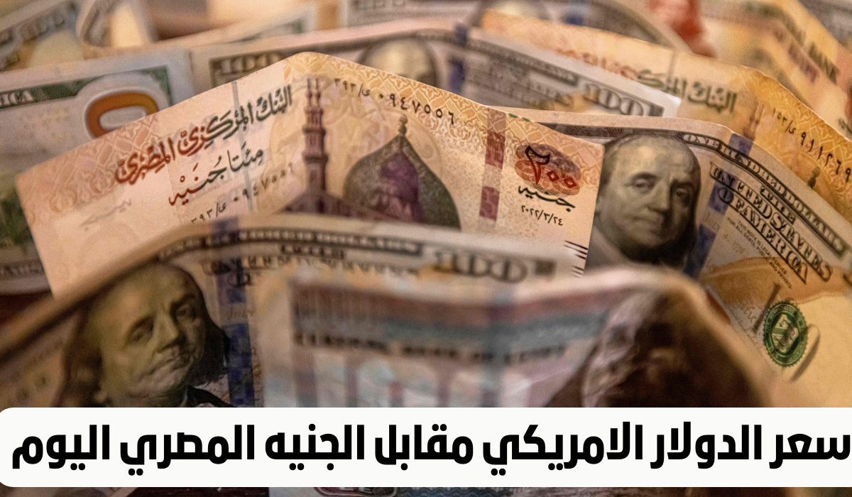 ارتفاع مفاجئ للدولار أمام الجنيه في مصر والكشف عن سعره