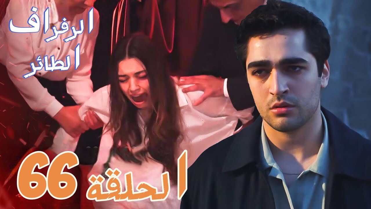 مسلسل الطائر الرفراف الحلقة 66 مترجمة بجودة hd