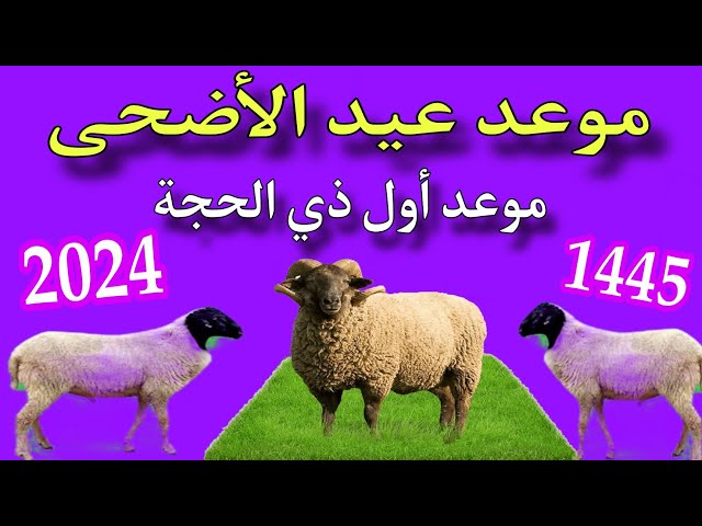 موعد أول أيام عيد الأضحى 1445 ومتي موعد وقفة عرفات