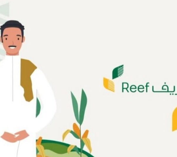 رابط الاستعلام عن دعم ريف لشهر مايو