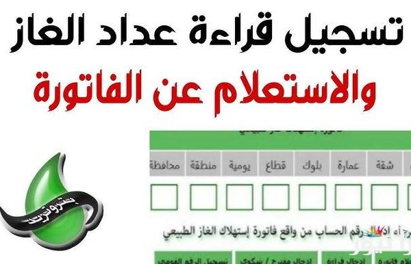 خطوات دفع فاتورة الغاز بتروتريد بالفيزا: دليل شامل وسهل