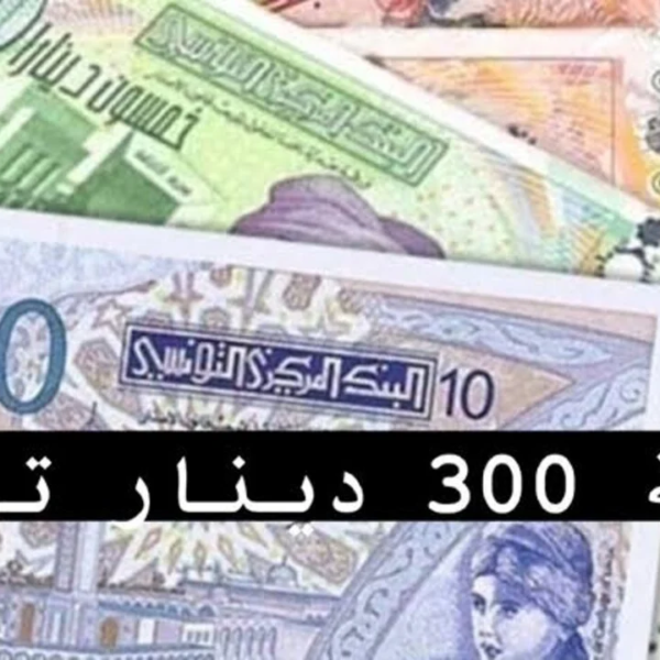 رابط التسجيل في منحة 300 دينار في تونس 2024 عبر موقع وزارة الشؤون الإجتماعية التونسية