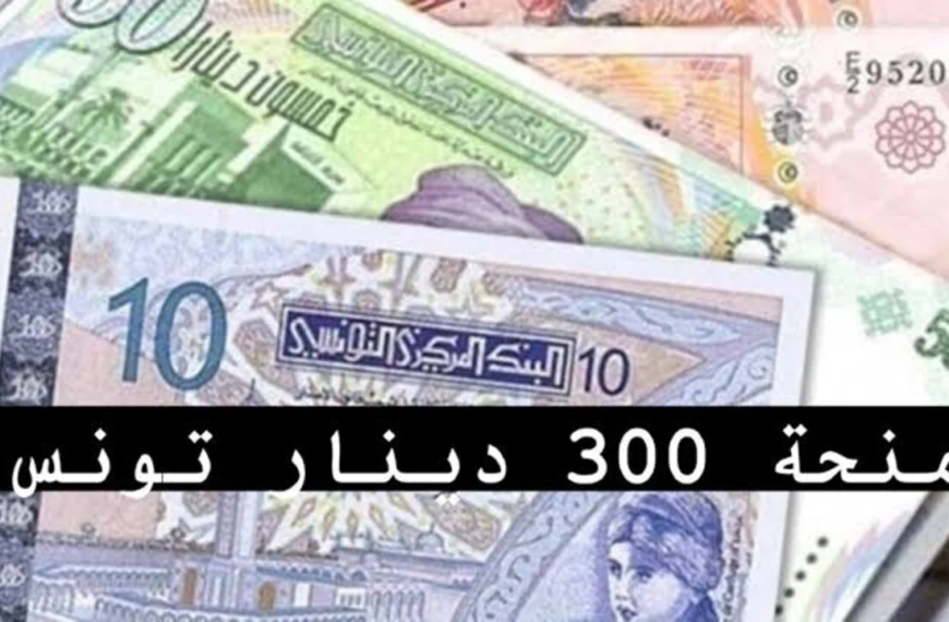 رابط التسجيل في منحة 300 دينار في تونس 2024 عبر موقع وزارة الشؤون الإجتماعية التونسية