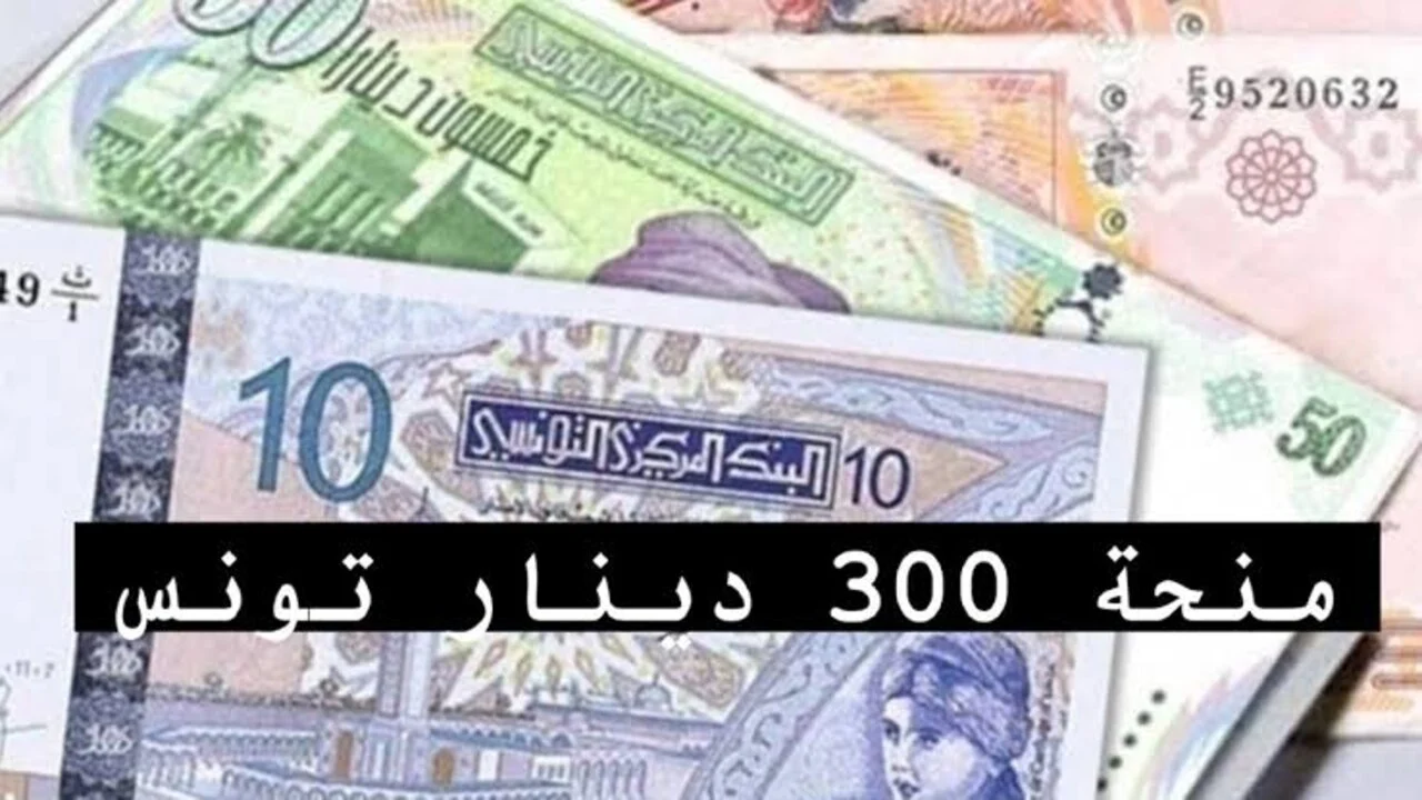 رابط التسجيل في منحة 300 دينار في تونس 2024 عبر موقع وزارة الشؤون الإجتماعية التونسية