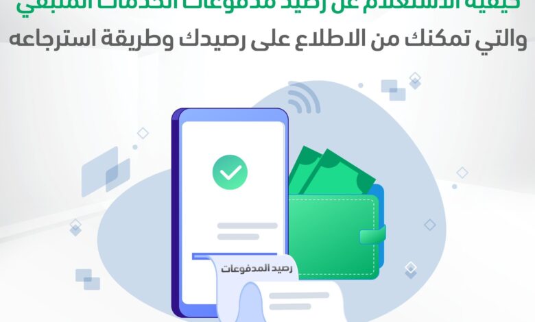 برقم الاقامه كيف تستعلم عن رصيد المدفوعات الحكومية بالمملكة بأكثر من طريقة