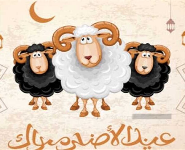 موعد عيد الأضحى المبارك 1445 وعدد أيام الإجازة الرسمية في السعودية