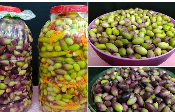 طرق تخليل الزيتون