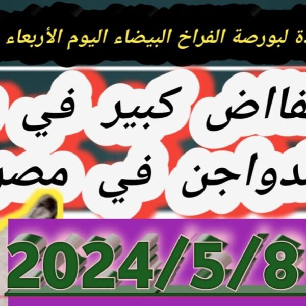 أسعار بورصة الدواجن اليوم الأربعاء 8 مايو 2024