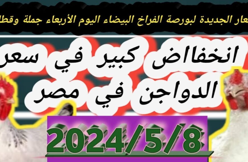 أسعار بورصة الدواجن اليوم الأربعاء 8 مايو 2024