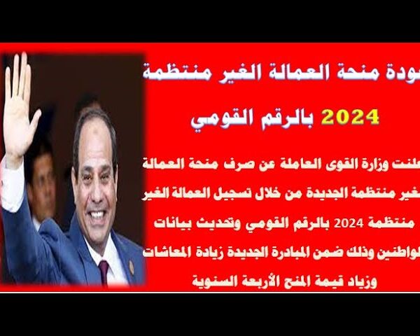 قرار السيسي بخصوص العمالة غير منتظمة 2024