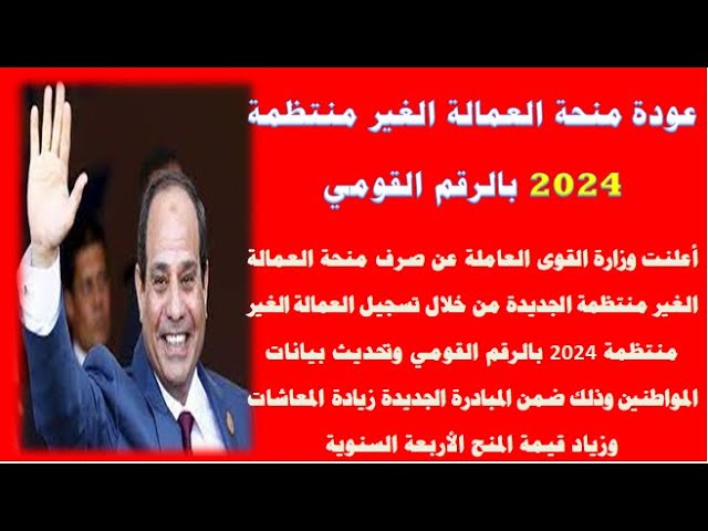 قرار السيسي بخصوص العمالة غير منتظمة 2024