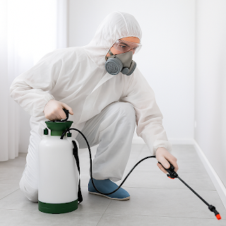 اسعار رش المبيدات بالرياض