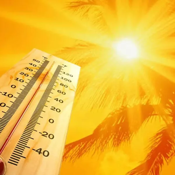 خطوات هامة لحل ارتفاع درجة الحرارة الجوال بالصيف