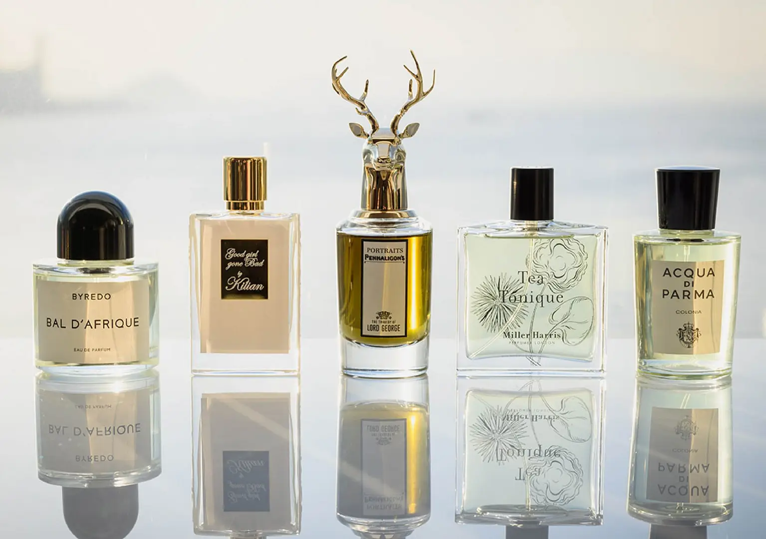 عطور النيش من بين السطور