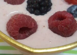 زبادي بالفواكه