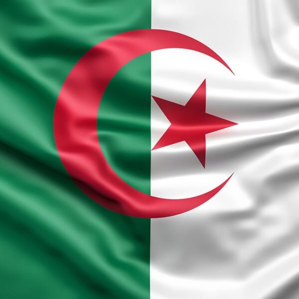 خطوات الاستعلام عن تجديد منحة البطالة كل 6 شهور 2024