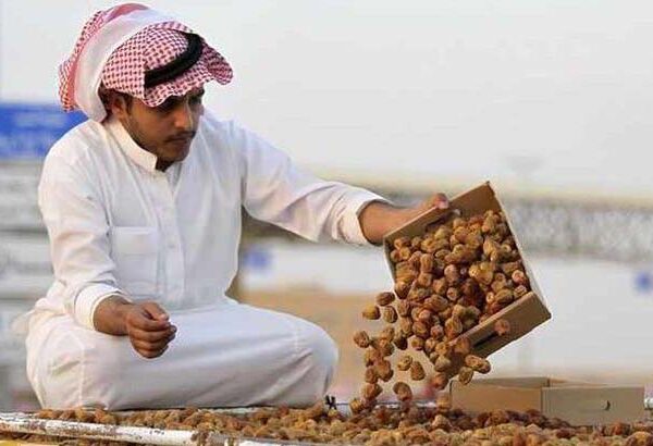 السعودية تحقق الإكتفاء الذاتي من التمور 2024