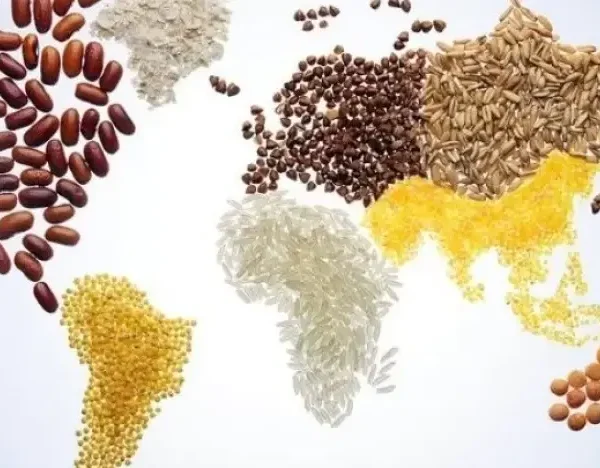 علاقة الزيادة السكانية بالامن الغذائي