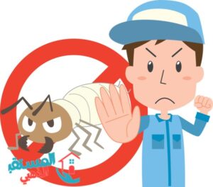افضل شركة مكافحة حشرات والنمل الابيض بجدة