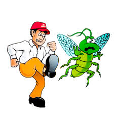 افضل شركة مكافحة حشرات والنمل الابيض بجدة