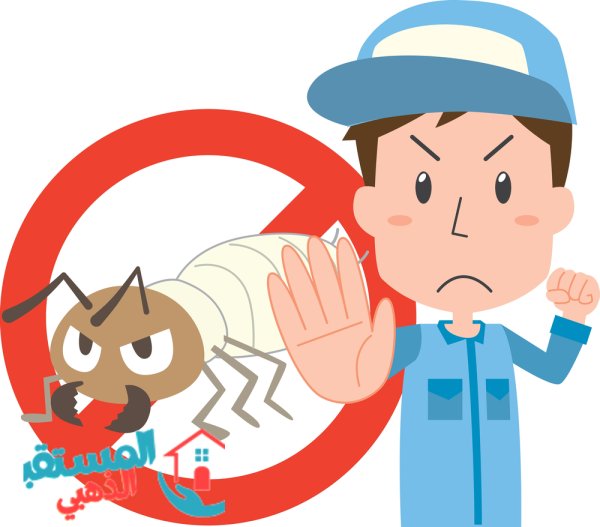 افضل شركة مكافحة حشرات والنمل الابيض بجدة