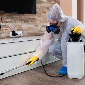 أفضل شركة رش دفان بالرياض