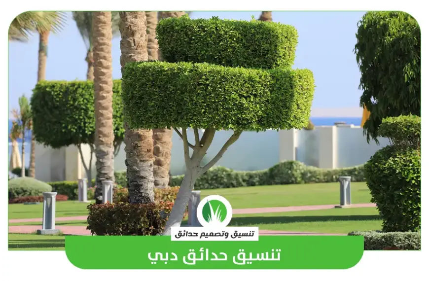 تنسيق حدائق الامارات