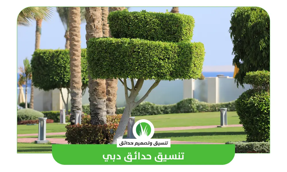 تنسيق حدائق الامارات