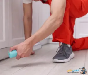 شركة مكافحة حشرات بالاحساء