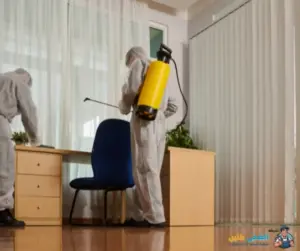  شركة مكافحة حشرات بالاحساء