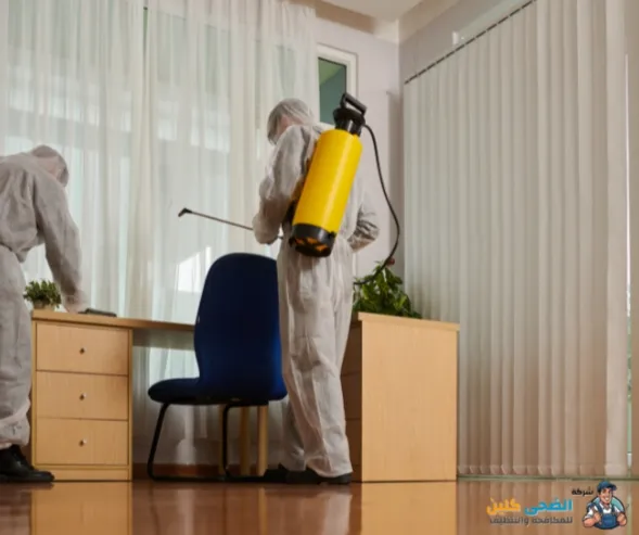 شركة مكافحة حشرات بالاحساء