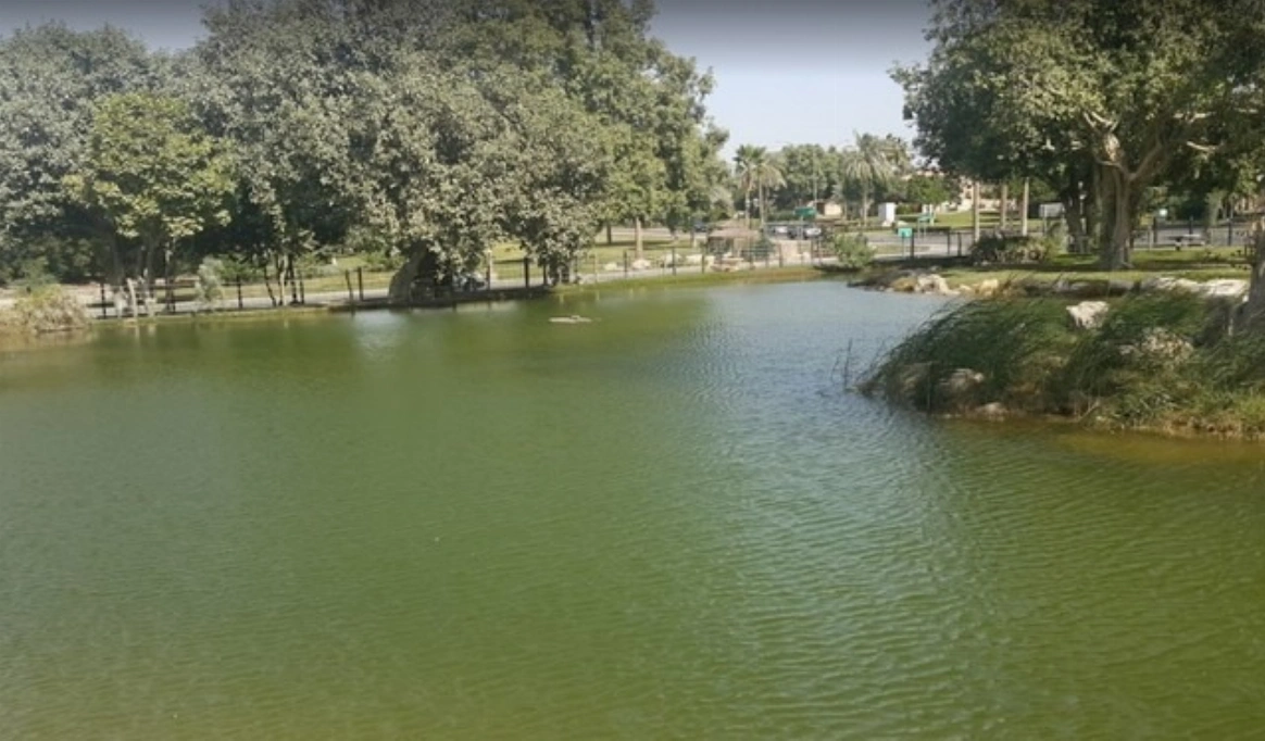 حديقة الندى