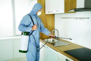 افضل خدمات صباغة ومكافحة حشرات في الشارقة