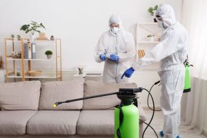 مكافحة حشرات