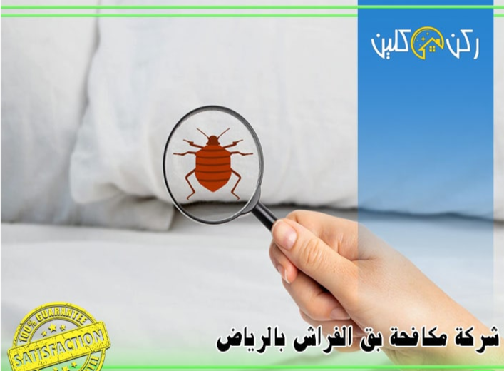 مكافحة الفئران وبق الفراش بالرياض بضمان مكتوب