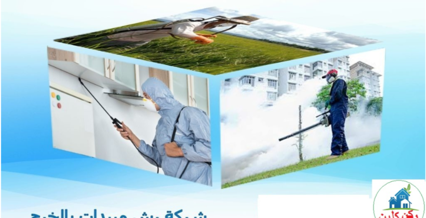 رؤية موحدة لبيئة خالية من الحشرات