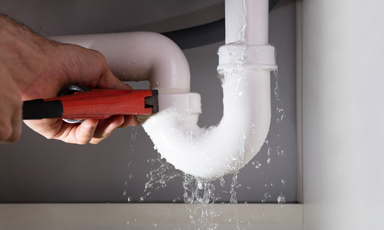 شركة كيان الجنوب للخدمات المنزلية