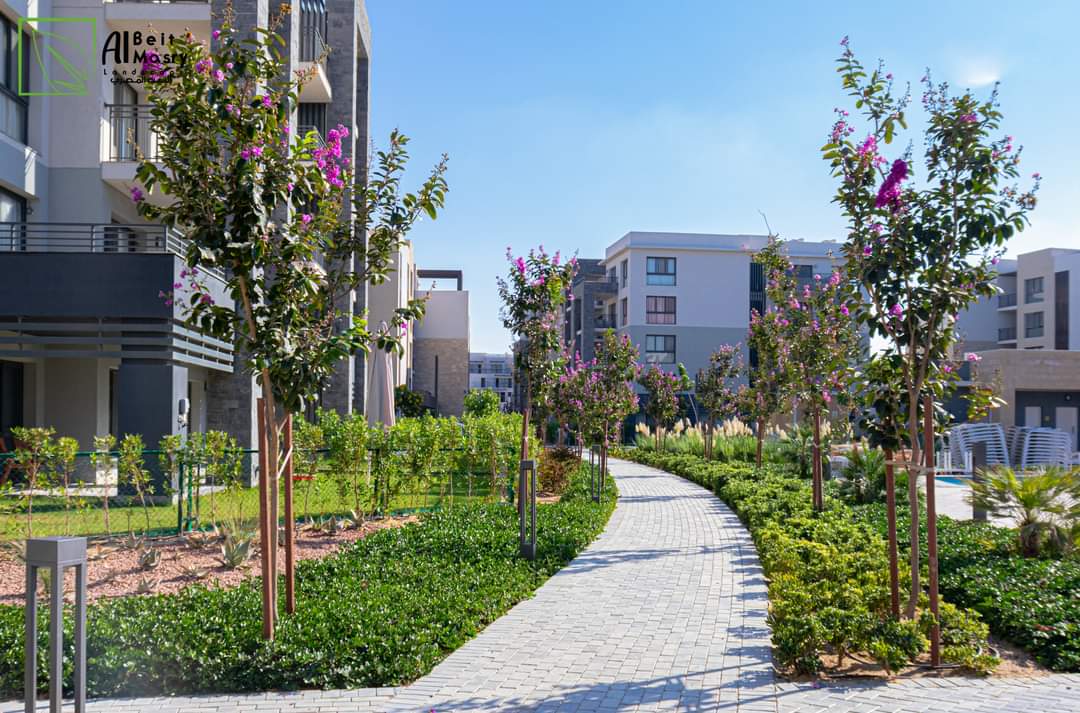 تنسيق حدائق جده