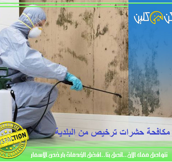 كيف تقلل البعوض وتحافظ على بيئة داخلية صحية؟