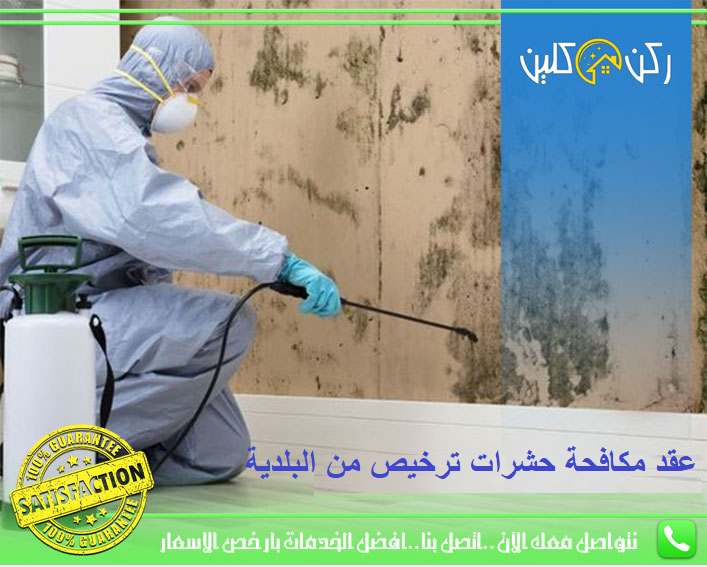 كيف تقلل البعوض وتحافظ على بيئة داخلية صحية؟