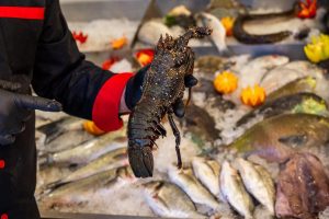 City Fish Hurghada: Bringing the Finest Seafood Experience to Egypt’s Red Sea Destination