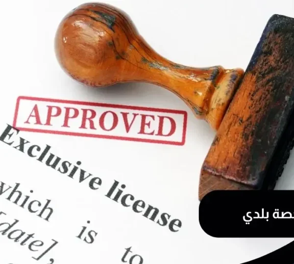 خطة اخلاء المدارس وإجراءات الأمن والسلامة | أعالي القمم